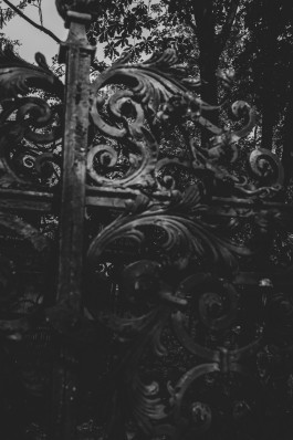  Uwe Ahlgrimm—Photography